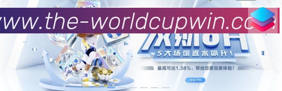 未来规划